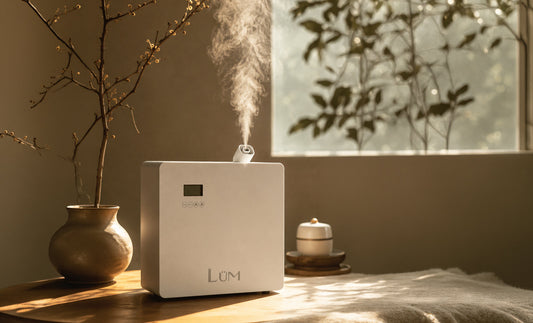 Difusor LÜM de vapor en frío emitiendo una fina bruma sobre una mesa, en un ambiente cálido y natural.