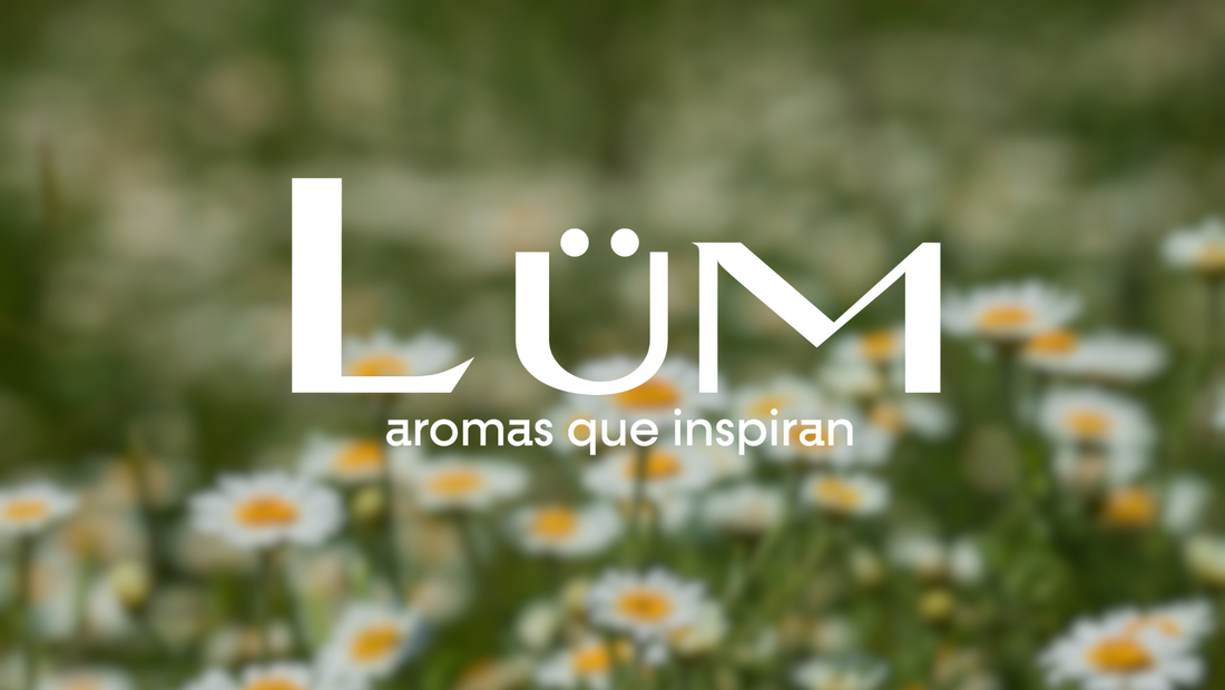 Marketing Olfativo: La Estrategia Invisible que Conecta con las Emociones