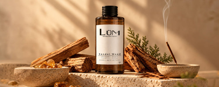 Colección de aromas amaderados para difusor LÜM