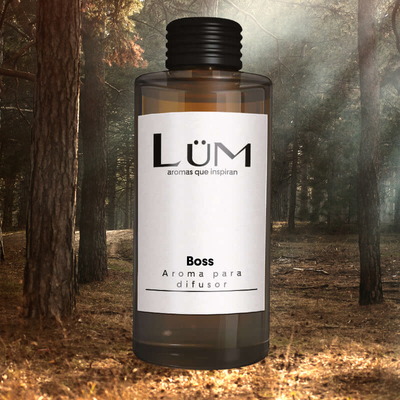 NEW: Boss - Aroma difusor
