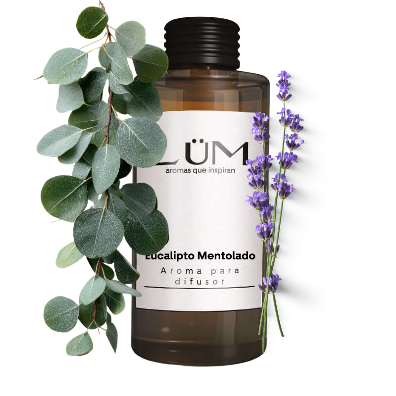 Eucalipto Mentolado - Aroma difusor