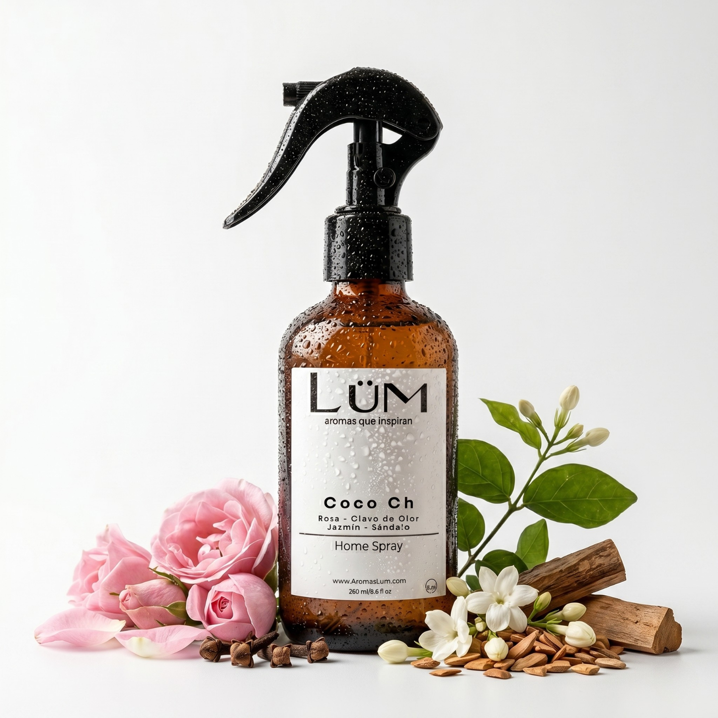 Home Spray Coco Chanel