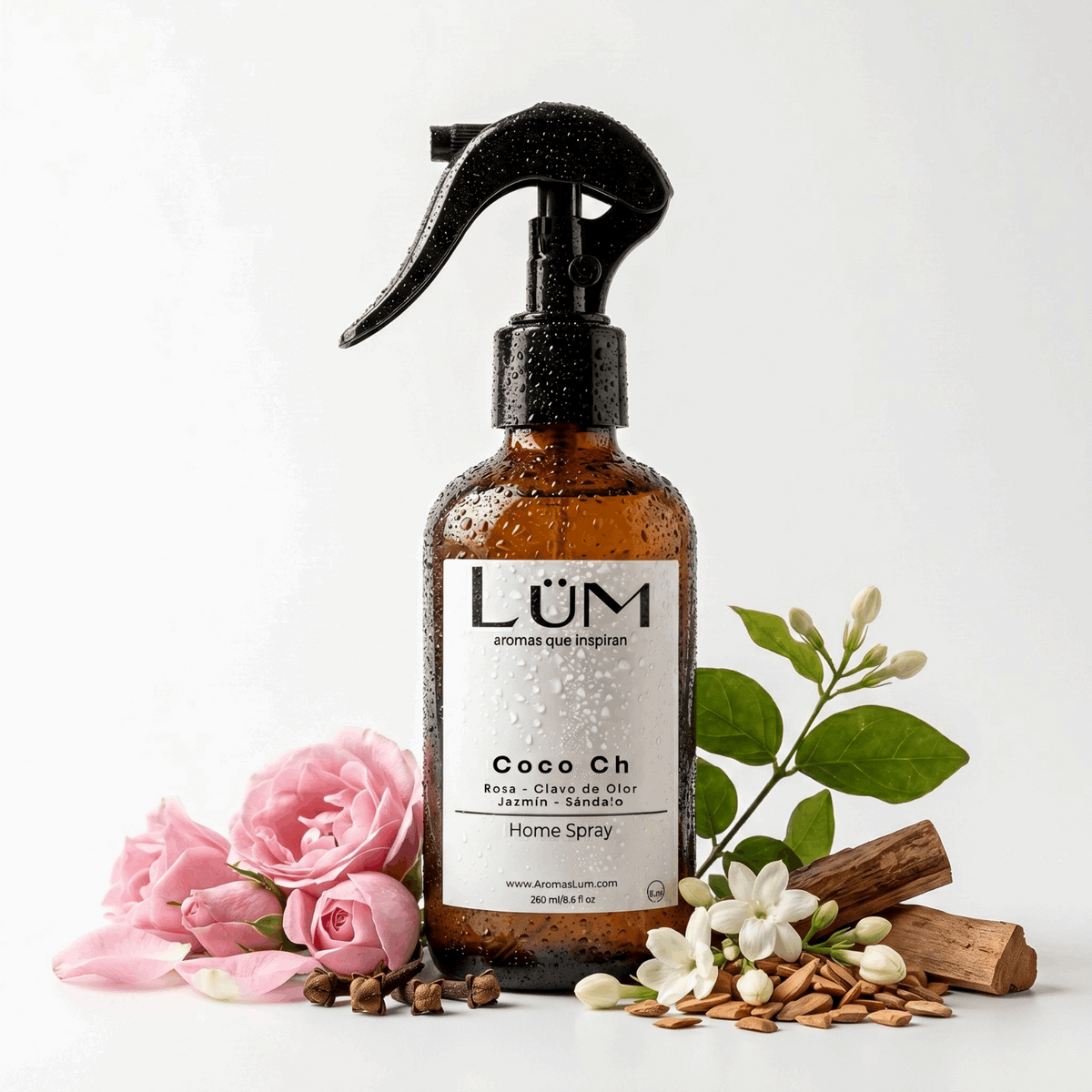Home Spray Coco Chanel