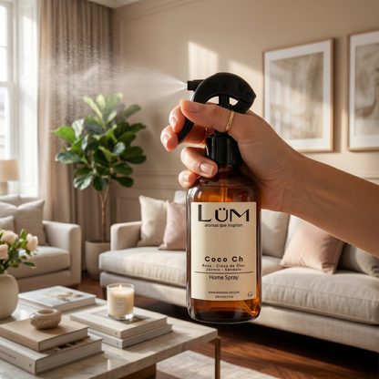 Home Spray Coco Chanel
