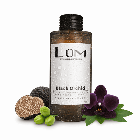 roma para difusor LÜM Black Orchid con trufa, orquídea negra y ylang ylang