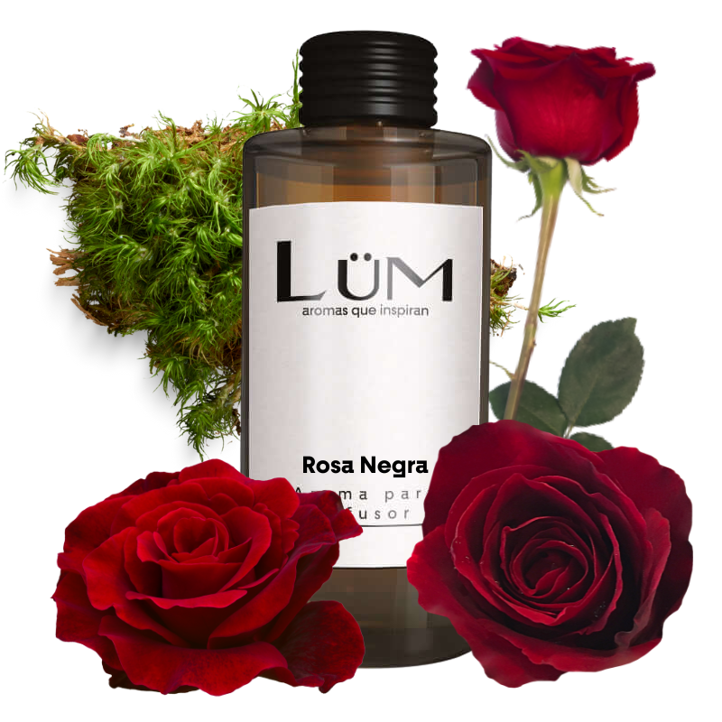 Rosa Negra - Aroma difusor