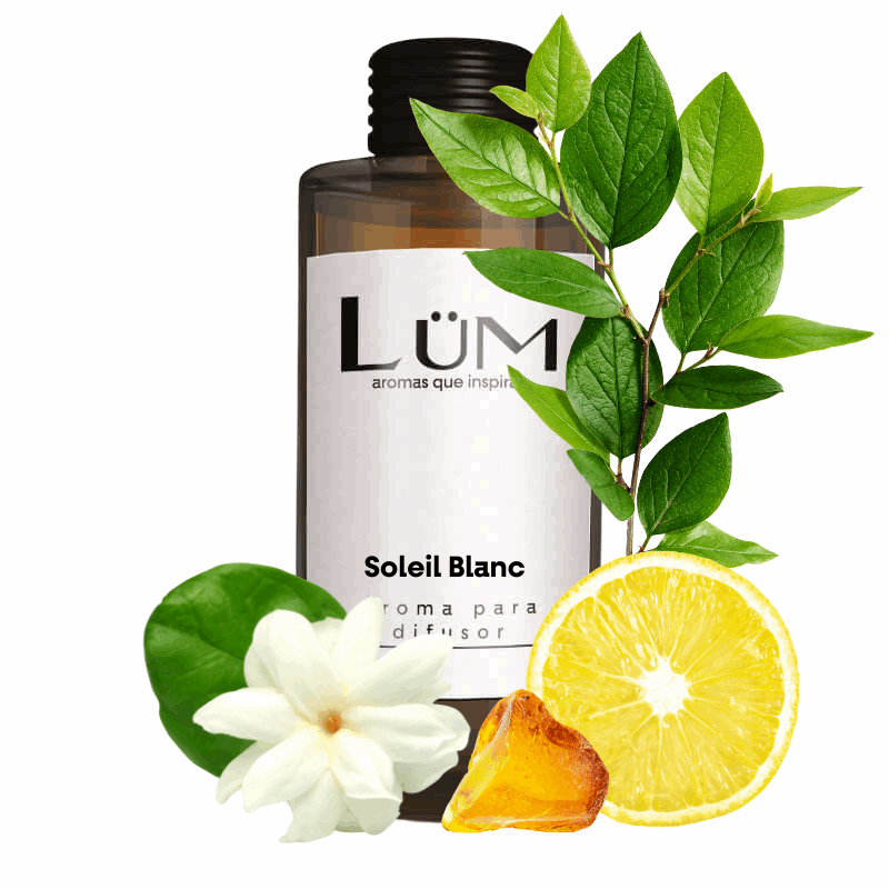 Soleil Blanc - Aroma difusor