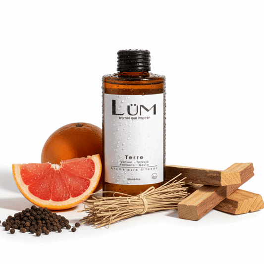 Aroma Terre d’Hermès LÜM para oficinas y salas, presencia masculina refinada